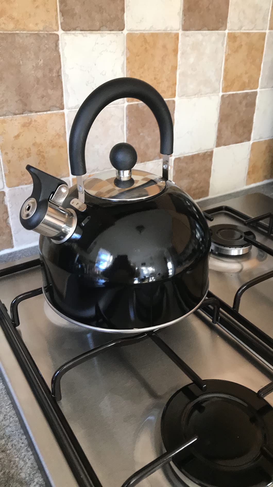 Black Stainless Steel Whistling Kettle