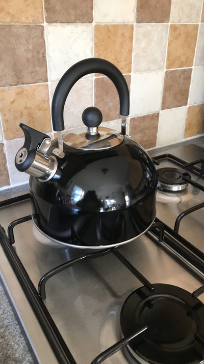 Black Stainless Steel Whistling Kettle